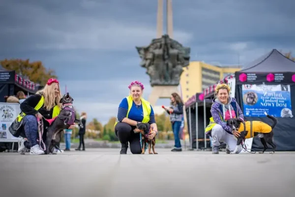 Weekend w Tychach: marsz dla zwierząt, festiwal auksodrone i koncerty