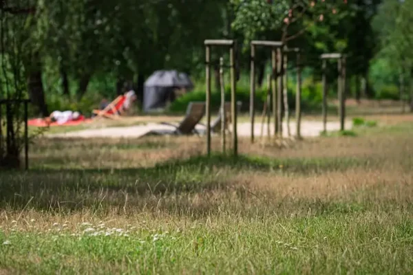 Koszenie traw w Tychach – harmonogram do 16 października